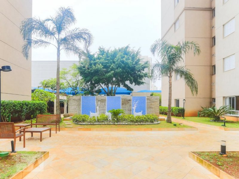 imóvel com 60m² - Vila Vera - São Paulo