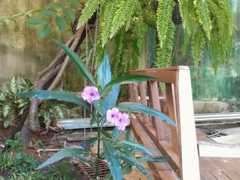 Casa à venda Betânia com 384m² e 4 quartos por R$ 880.000 - 409098627-img-20200218-080805-230.jpg