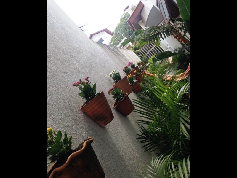 imóvel com 250m² - Jardim Adalgisa - Osasco
