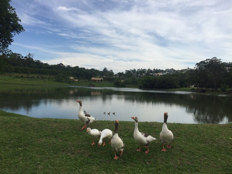 imóvel com 710m² - Tapera Grande - Itatiba