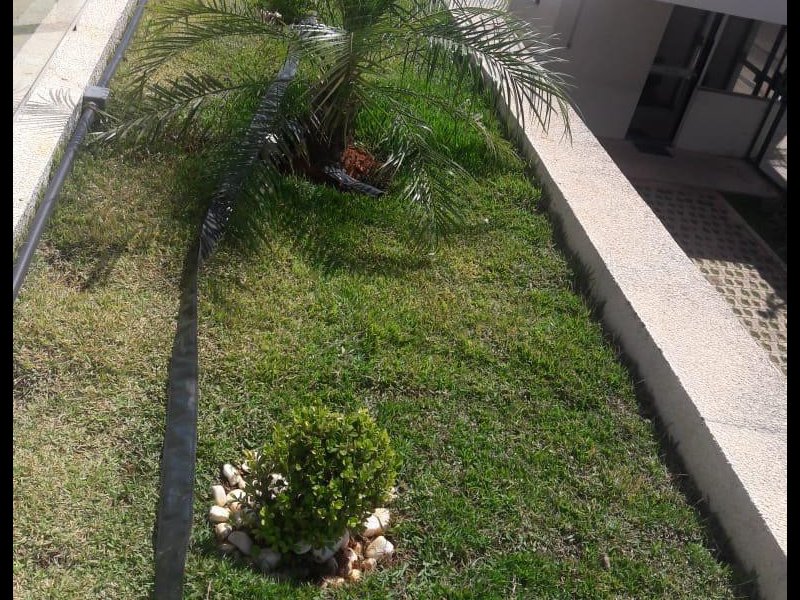 imóvel com 62m² - Samambaia Sul - Brasília