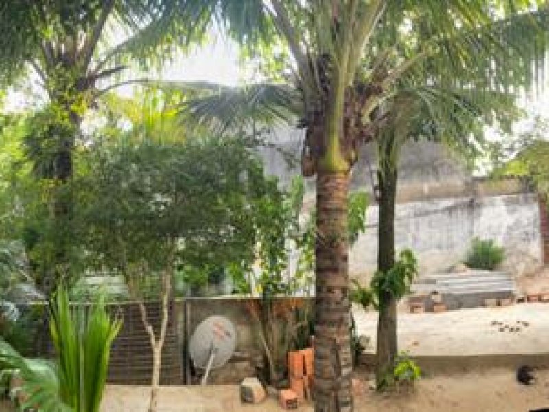 Casa à venda Vila Santo Henrique com 800m² e 2 quartos por R$ 2.000.000 - 1839846040-f3beabc5-a663-484f-aea7-caa3a9d547cc.jpg