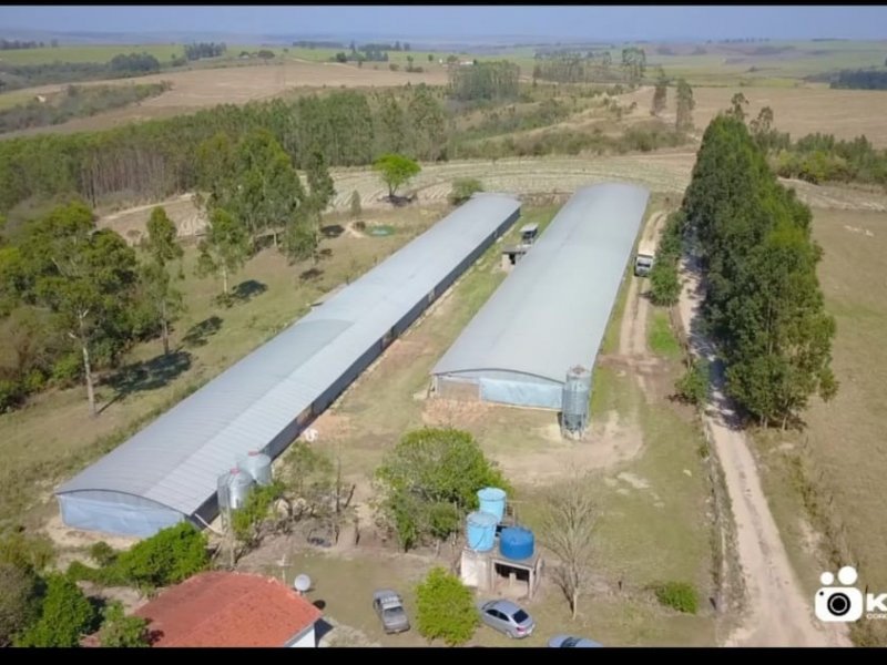 Sítio à venda Centro com 48000m² e 2 quartos por R$ 2.900.000 - 1324244912-img-20220117-wa0071.jpg