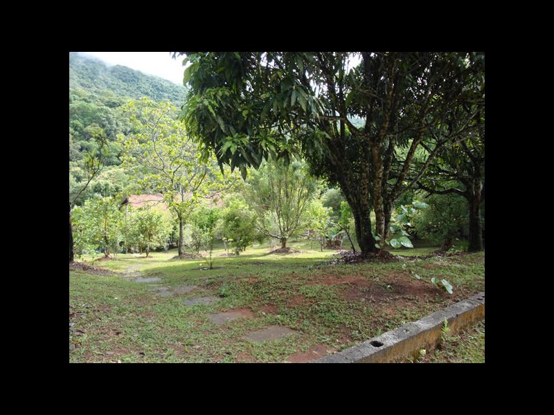Chácara à venda Vila Pedra Vermelha com 400m² e 7 quartos por R$ 550.000 - 1365103426-05-chacara.jpg