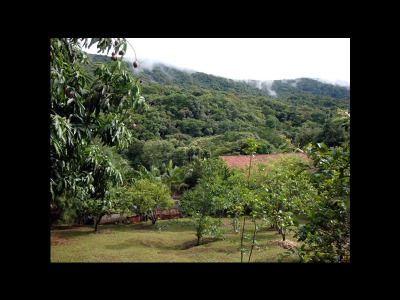 Chácara à venda Vila Pedra Vermelha com 400m² e 7 quartos por R$ 550.000 - 2020073327-024-chacara.jpg