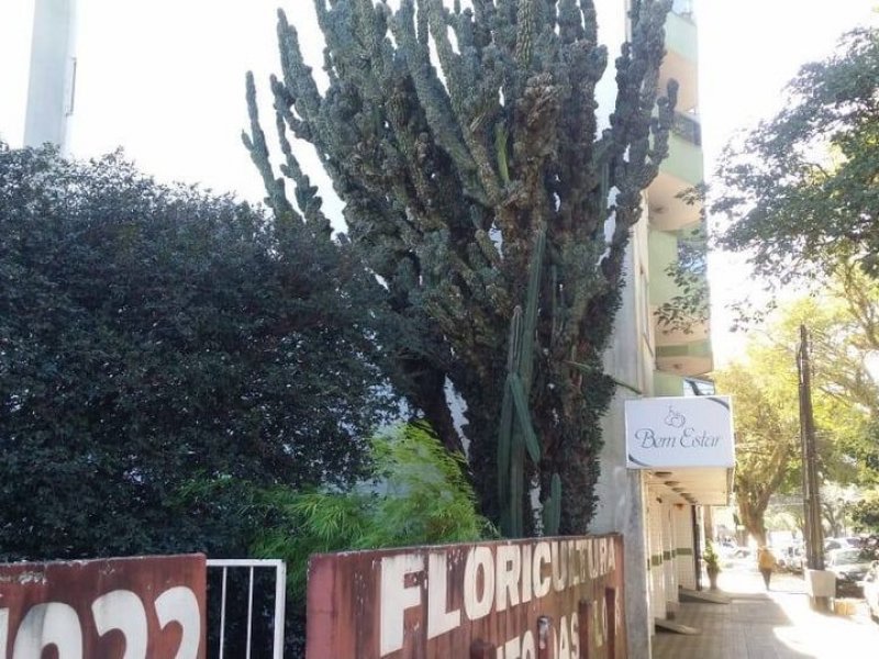 Terreno à venda Centro com 950m² e  quartos por R$ 3.500.000 - 1352833219-135497719-3862207860523177-5047247736131016583-n.jpg