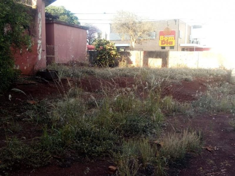Terreno à venda Centro com 950m² e  quartos por R$ 3.500.000 - 773241000-135527602-3862207833856513-5424888906254786441-n.jpg