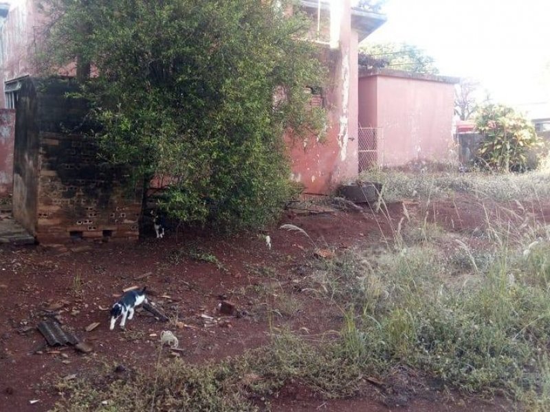 Terreno à venda Centro com 950m² e  quartos por R$ 3.500.000 - 790579366-136094371-3862207793856517-5002764915508676373-n.jpg