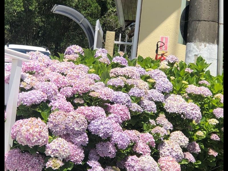 imóvel com 50m² - Bela Vista - Campos do Jordão