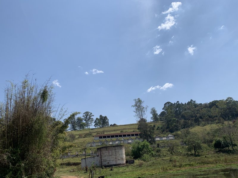 Sítio à venda Bairro do Agudo com 84700m² e 2 quartos por R$ 860.000 - 1805234174-e89d3877-84ce-4c5f-9439-8eb3fe2763a2.jpeg