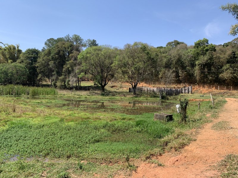 Sítio à venda Bairro do Agudo com 84700m² e 2 quartos por R$ 860.000 - 1973466359-2e625953-4eb8-416b-8558-b53c6e2427fa.jpeg