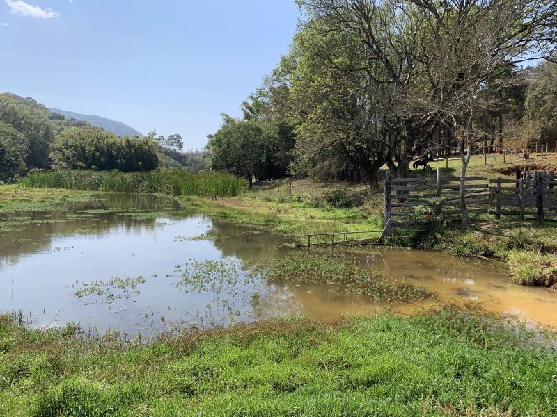 Sítio à venda Bairro do Agudo com 84700m² e 2 quartos por R$ 860.000 - 2119592117-41cefdcf-3307-4ba0-a071-da1c7ae152a8.jpeg