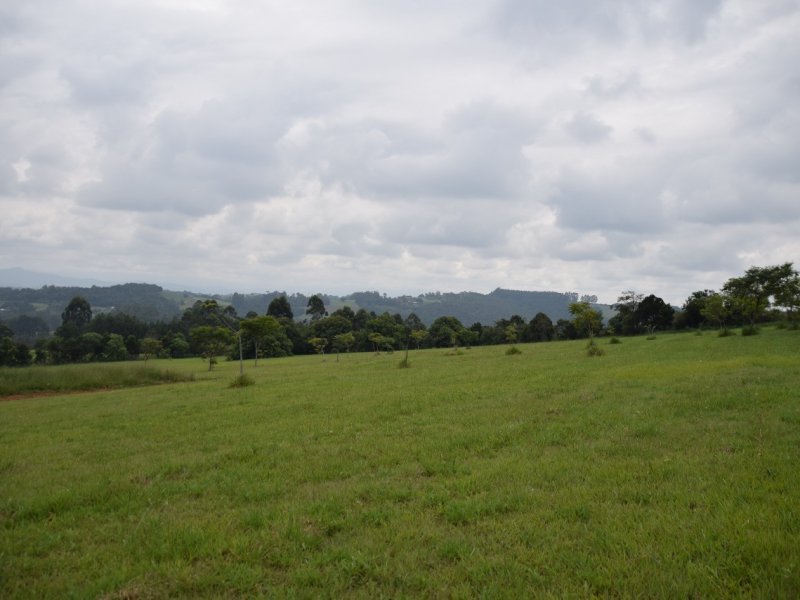 Apartamento à venda Lomba Grande com 1000m² e 1 quarto por R$ 230.000 - 1222013639-whatsapp-image-2021-03-29-at-19.jpeg