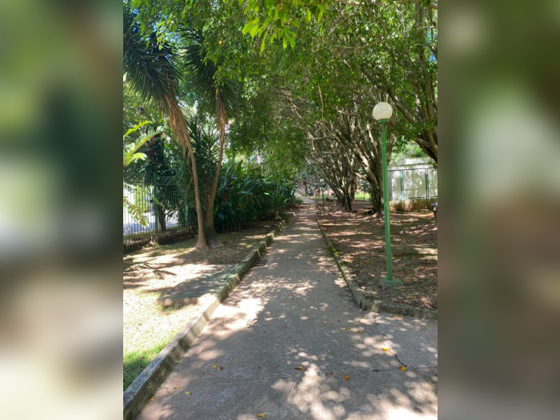 Casa de condomínio à venda Jardim Vitória Régia com 240m² e 3 quartos por R$ 2.200.000 - 120x.jpg
