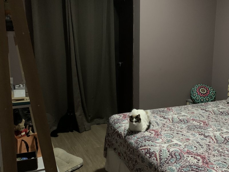 Apartamento à venda Vila Valparaíso com 80m² e 3 quartos por R$ 380.000 - 1937064480-9866d491-e079-4bc9-b76a-254594715805.jpeg