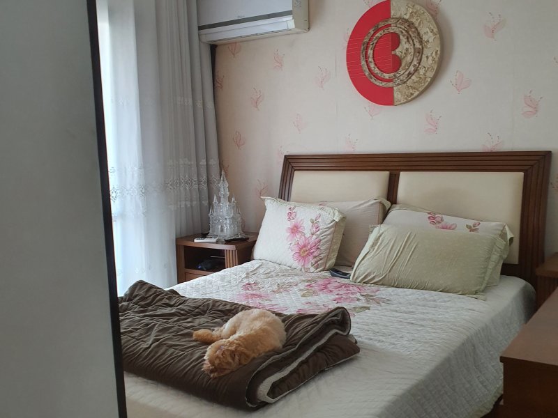 imóvel com 84m² - Vila Nova Manchester - São Paulo