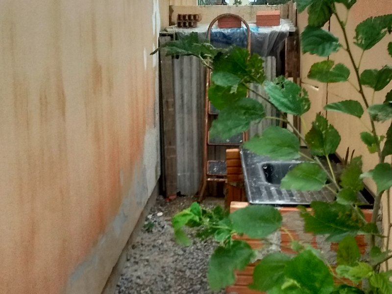 Apartamento à venda Ingleses do Rio Vermelho com 55m² e 2 quartos por R$ 130.000 - 1885684914-img-20171119-191816964-hdr.jpg