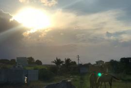 Casa à venda Boa Vista com 473m² - 3 dormitórios -  vagas - R$ 300.000 - 2124373070-191a473d-3ca8-4bec-a266-16f3ebf3c33d.jpg