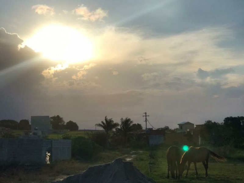 Casa à venda Boa Vista com 473m² e 3 quartos por R$ 300.000 - 2124373070-191a473d-3ca8-4bec-a266-16f3ebf3c33d.jpg