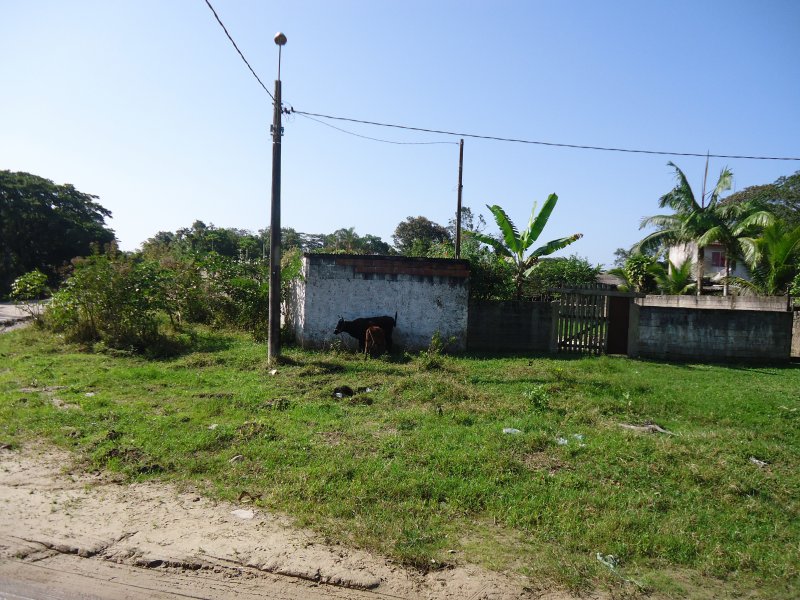 Terreno para alugar Jardim Cel. com 280m² e  quartos por R$ 30.000 - 2109734862-dsc02767.JPG