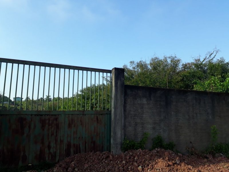 Terreno à venda Santa Cruz com 3000m² e  quartos por R$ 980.000 - 1120469074-whatsapp-image-2021-04-12-at-08.jpeg
