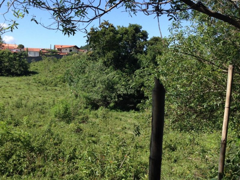 Sítio à venda Jardim Josane com 140m² e 1 quarto por R$ 2.400.000 - 1878851695-b1984acc-bf65-4583-912d-8c9219c108a1.jpeg