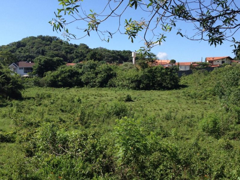 Sítio à venda Jardim Josane com 140m² e 1 quarto por R$ 2.400.000 - 260837309-7b056442-edcb-43a1-ad3e-06d145e82ee3.jpeg