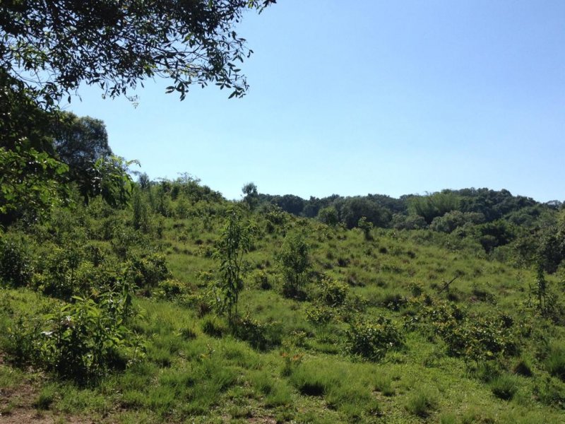 Sítio à venda Jardim Josane com 140m² e 1 quarto por R$ 2.400.000 - 590938320-c9c2528d-f028-469d-8196-6833a508e956.jpeg