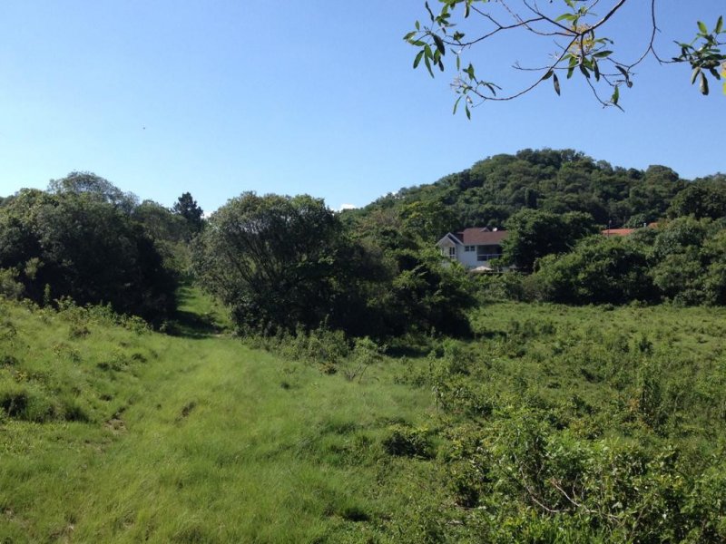 Sítio à venda Jardim Josane com 140m² e 1 quarto por R$ 2.400.000 - 797258601-b1685ee2-d624-415b-bee0-88d7772e5f6a.jpeg