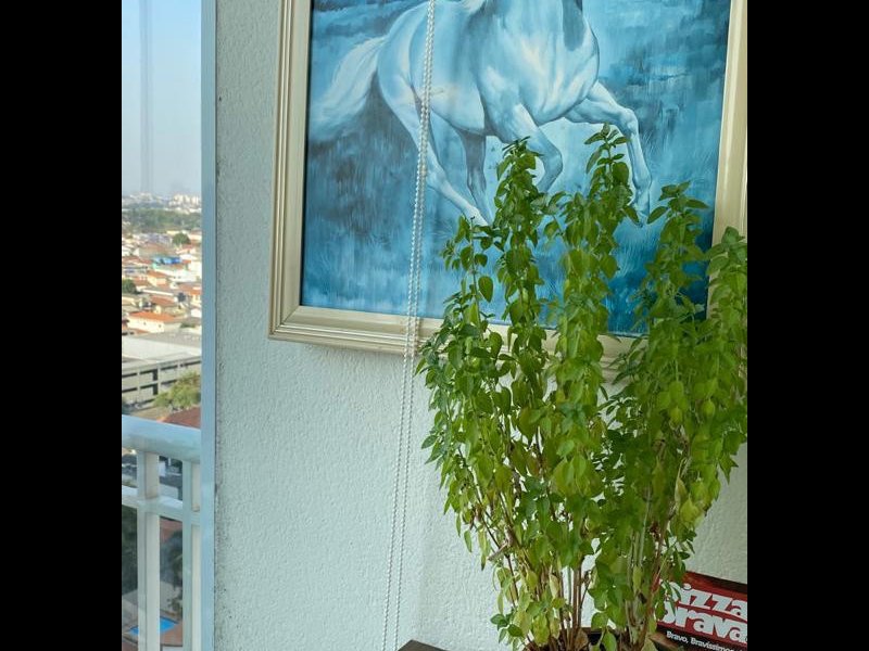 Apartamento à venda Vl. Bela com 60m² e 2 quartos por R$ 470.000 - 1080507738-sacada-angulo-2.jpg