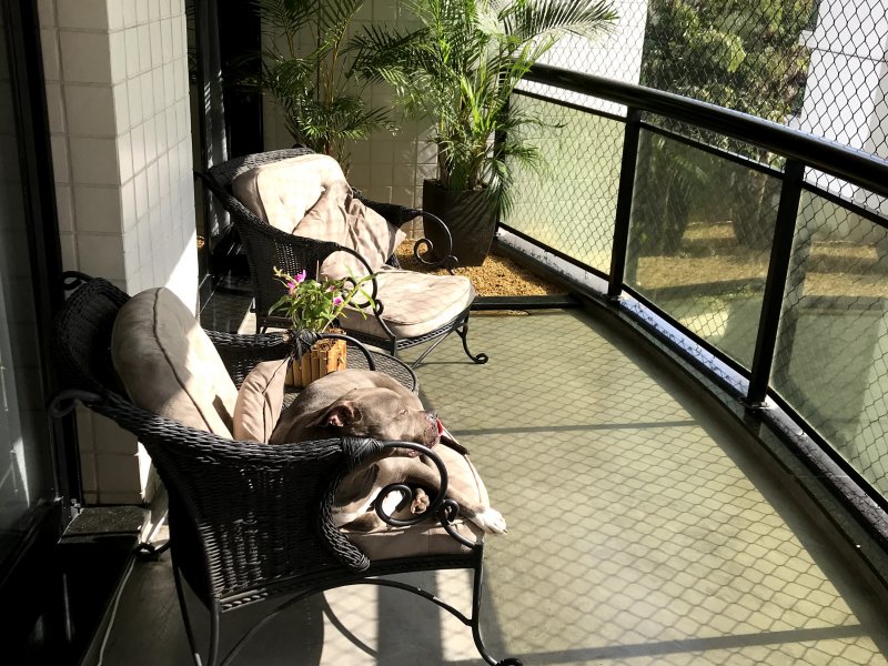 Apartamento à venda Panamby com 336m² e 4 quartos por R$ 2.100.000 - 1713738404-91ab7f12-1379-4837-90d3-1d5634e6829a.jpeg