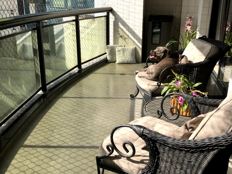 Apartamento à venda Panamby com 336m² e 4 quartos por R$ 2.100.000 - 189338409-f8761f3f-3fd9-4704-a1a7-0d7240ea3a09.jpeg