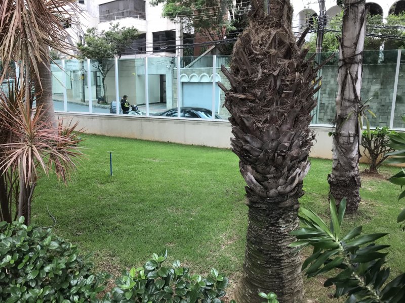 imóvel com 105m² - Sion - Belo Horizonte