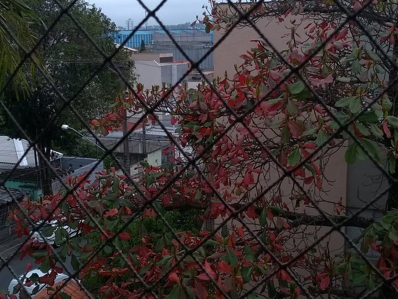 Apartamento à venda Vila Valparaíso com 63m² e 2 quartos por R$ 280.000 - 345441008-32-vista-quartomenor.jpg