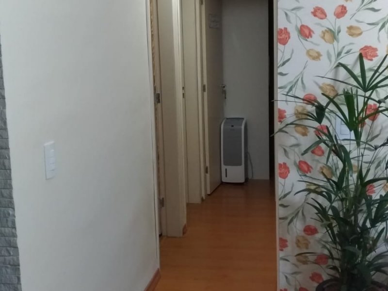 Apartamento à venda Vila Alpina com 59m² e 3 quartos por R$ 350.000 - 277677123-12-corredor.jpg