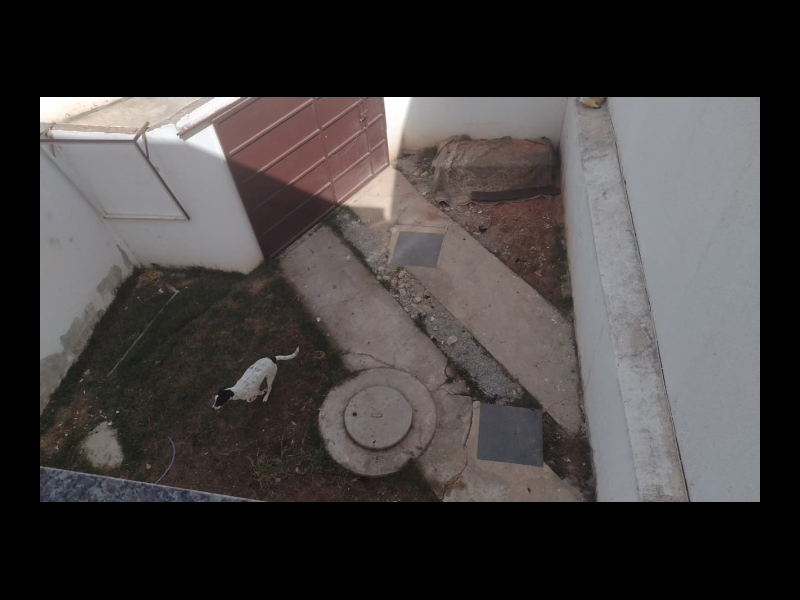 Casa à venda Pedra branca 2 sessao com 300m² e 2 quartos por R$ 160.000 - 600773980-screenshot-20210416-103548.png