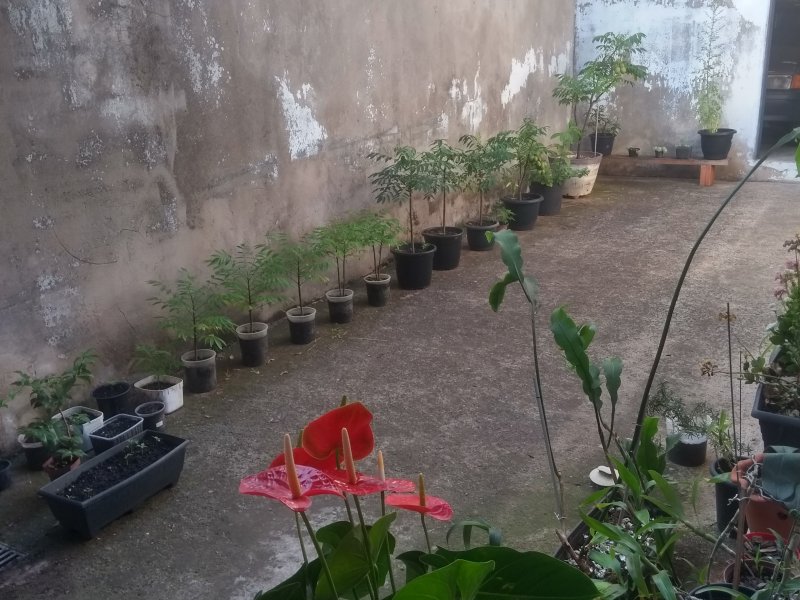 Casa à venda Jardim Puch com 284m² e 3 quartos por R$ 670.000 - 1230261603-img-20191025-073420581-hdr.jpg