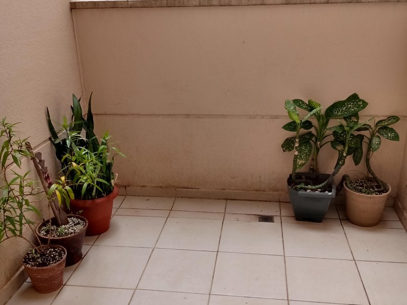 Apartamento à venda Vila Taquari com 54m² e 2 quartos por R$ 270.000 - 2129575790-img-20200122-135733893-hdr.jpg