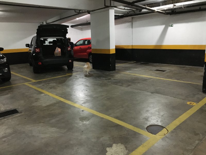 Apartamento à venda Boa Vista  com 70m² e 2 quartos por R$ 350.000 - 1119907870-21364b38-8deb-409d-95ad-dd523bf9637c.jpeg