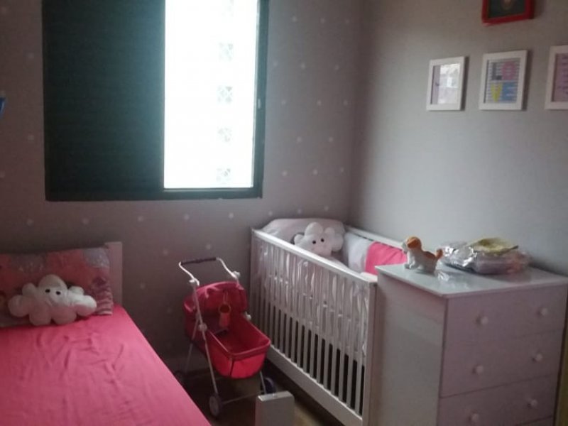 Apartamento à venda Vila Palmeiras com 55m² e 2 quartos por R$ 330.000 - 515385086-whatsapp-image-2021-02-19-at-17.jpeg