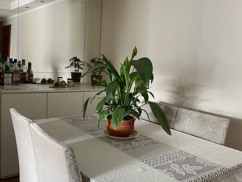 Apartamento à venda Centro com 66m² e 2 quartos por R$ 500.000 - 348598898-whatsapp-image-2022-07-20-at-16.jpeg
