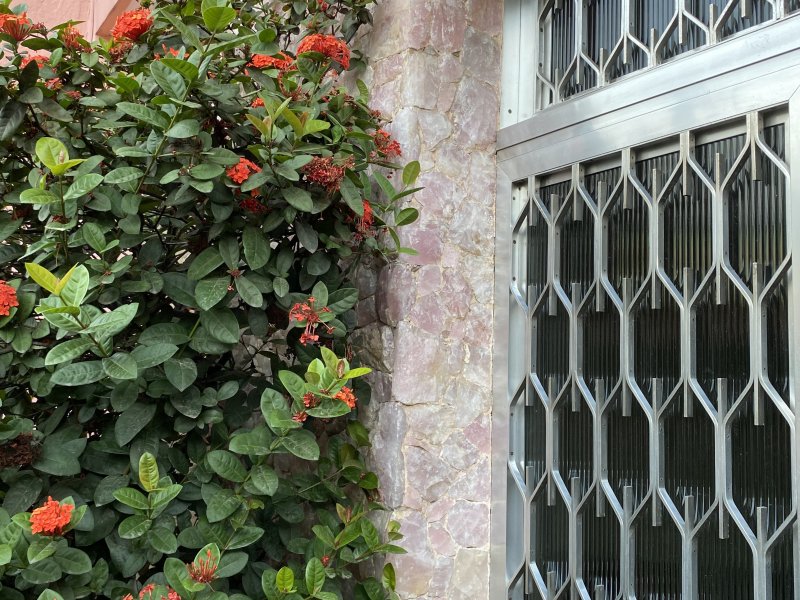 Casa à venda Vila Meriti com 240m² e 6 quartos por R$ 600.000 - 938815994-imagem-jpeg-32.jpeg
