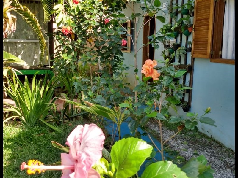 Casa à venda Caborê com 600m² e 4 quartos por R$ 1.050.000 - 748309628-quintal.jpg