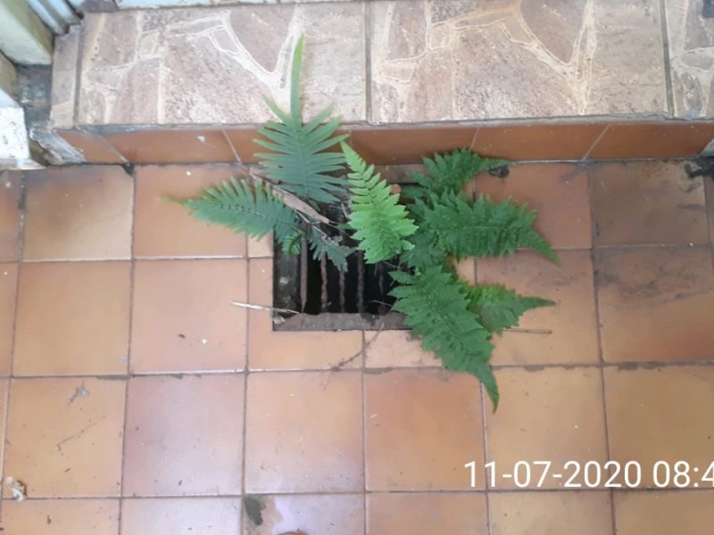 Casa à venda Vl. Santa Maria com 105m² e 2 quartos por R$ 300.000 - 1119083397-img-20200731-wa0005.jpg