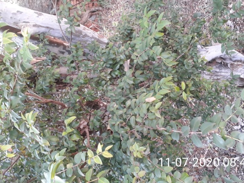 Casa à venda Vl. Santa Maria com 105m² e 2 quartos por R$ 300.000 - 1475609962-img-20200731-wa0086.jpg