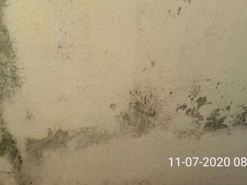 Casa à venda Vl. Santa Maria com 105m² e 2 quartos por R$ 300.000 - 2132086077-img-20200731-wa0029.jpg