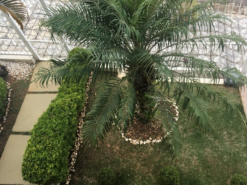 Casa à venda Jardim Paulistano com 290m² e 3 quartos por R$ 720.000 - 376252594-24vistavaranda.JPG