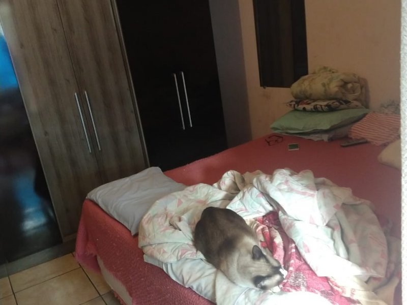 Casa à venda Vila das Mercês com 200m² e 2 quartos por R$ 350.000 - 413055986-suite-da-1a-casa.jpeg