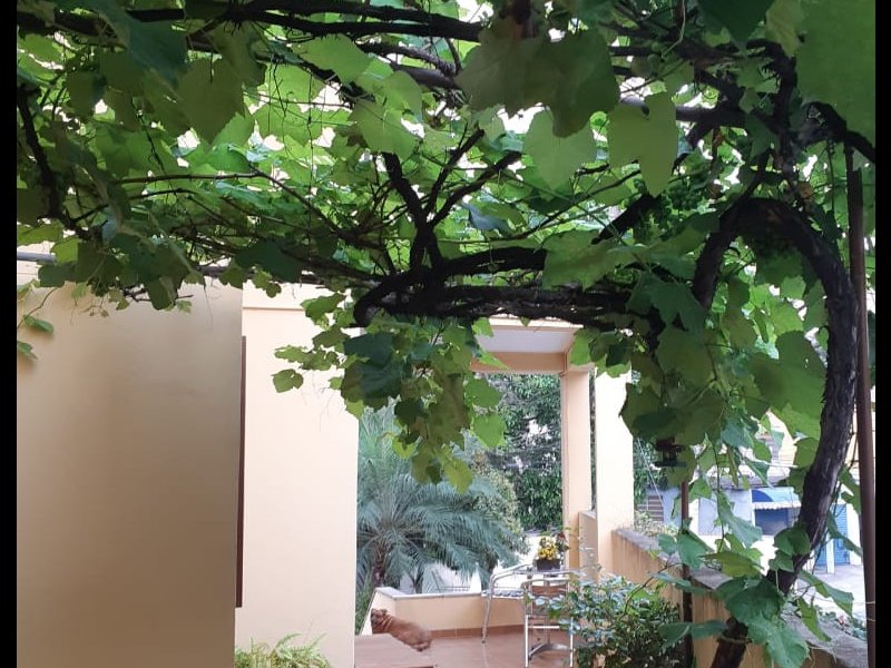 Casa à venda Chora Menino com 175m² e 3 quartos por R$ 795.000 - 1344904063-whatsapp-image-2020-12-06-at-21.jpeg