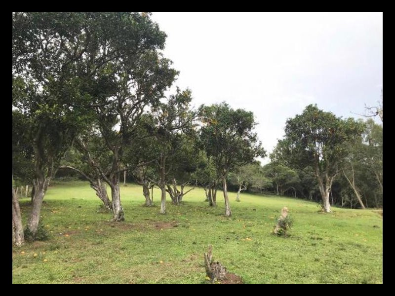 imóvel com 48000m² - Centro - Viamao